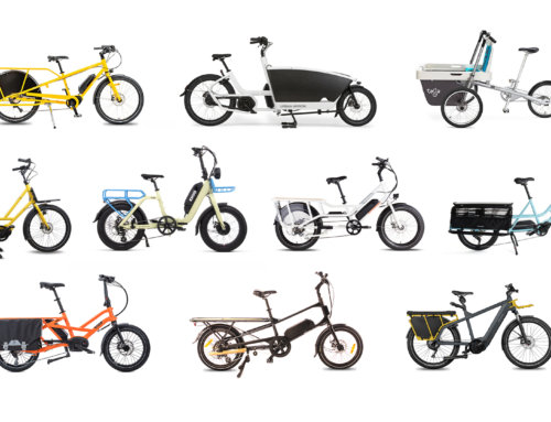 The 10 Best Family and Cargo Ebikes